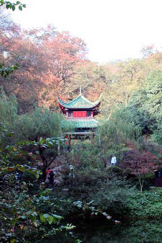 岳麓山东门到爱晚亭有多远?(岳麓山爱晚亭要收费拿)-图3 岳麓山东门到爱晚亭有多远?(岳麓山爱晚亭要收费拿)-图3