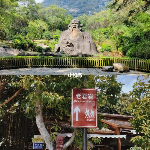 清源山上泡茶最佳位置？(清源山开车下山 收费)