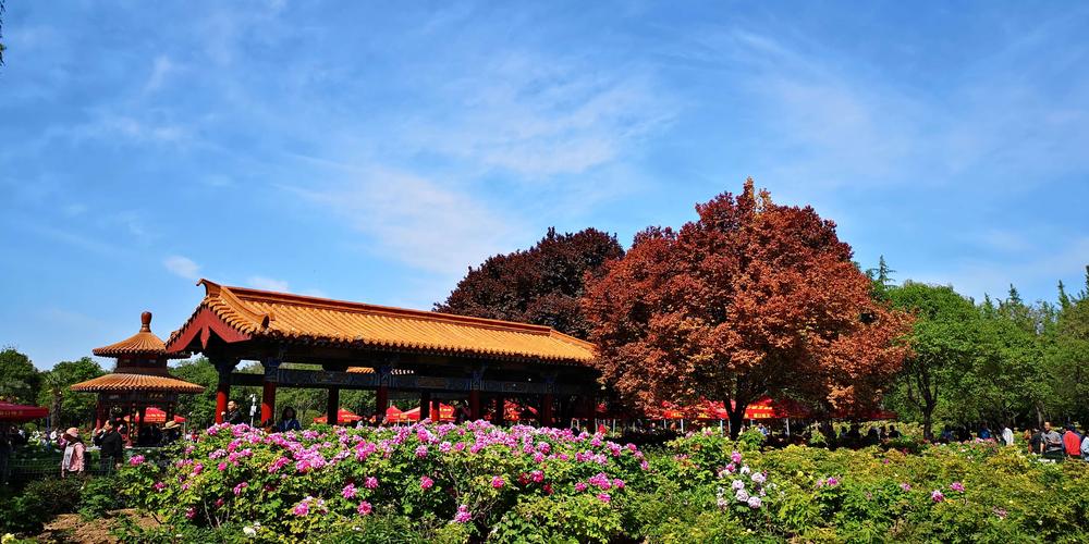 洛阳的中国国花园要门票吗?(洛阳中国国花园平时收费吗)-图3 洛阳的中国国花园要门票吗?(洛阳中国国花园平时收费吗)-图3