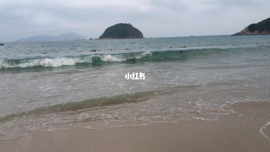 深圳西冲潜水要多少钱啊?(情人岛离西冲那个收费口近)-图3 深圳西冲潜水要多少钱啊?(情人岛离西冲那个收费口近)-图3