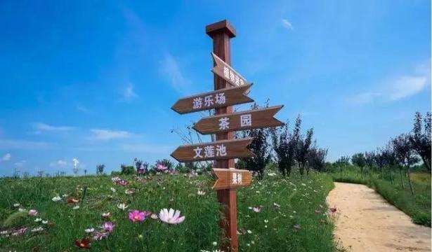 兴唐寺到洪洞公交车时间表？(成都田园牧歌农场收费)
