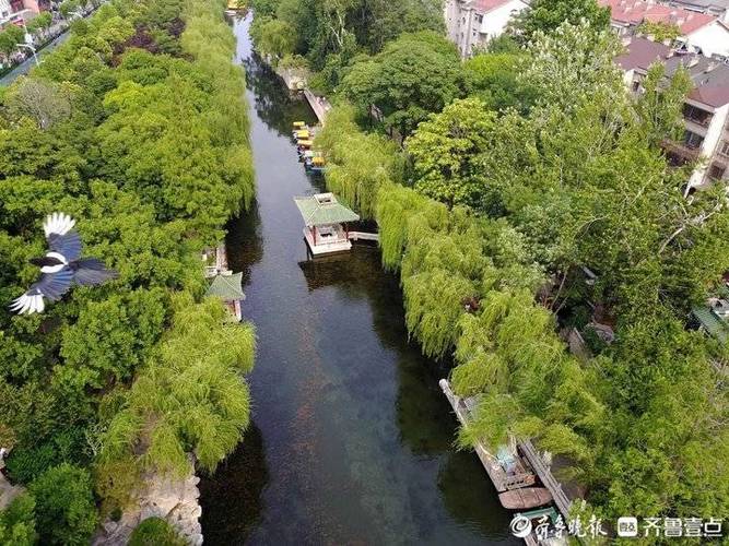 济南护城河泉水浇花好吗?(济南护城河收费吗)-图3 济南护城河泉水浇花好吗?(济南护城河收费吗)-图3