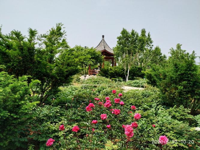 大连旅顺旅游景点都有哪些?(大连华酝牡丹园收费么)-图2 大连旅顺旅游景点都有哪些?(大连华酝牡丹园收费么)-图2