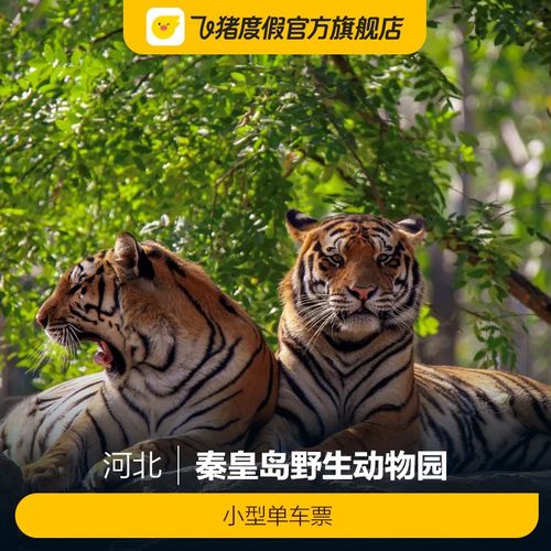 现在秦皇岛动物园门票多少钱?淡季门票截止到什么时候?(秦皇岛动物园自驾车收费)-图2 现在秦皇岛动物园门票多少钱?淡季门票截止到什么时候?(秦皇岛动物园自驾车收费)-图2