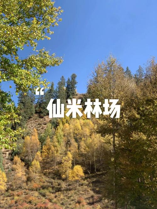仙米林场门票多少?(仙米林场收费吗)-图3 仙米林场门票多少?(仙米林场收费吗)-图3
