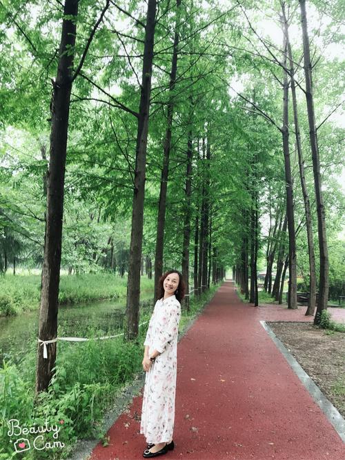 润扬森林公园需要门票吗?(扬州润扬森林公园收费吗)-图2 润扬森林公园需要门票吗?(扬州润扬森林公园收费吗)-图2
