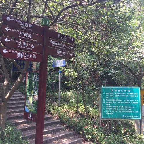 大岭山森林公园厚街入口要门票吗?(长安公园停车场要收费吗)-图3 大岭山森林公园厚街入口要门票吗?(长安公园停车场要收费吗)-图3