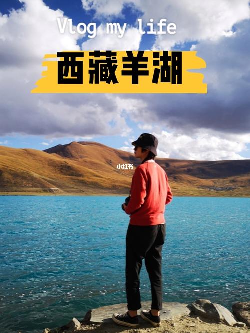 西藏景区门票优惠政策?(羊卓雍错收费)-图2 西藏景区门票优惠政策?(羊卓雍错收费)-图2
