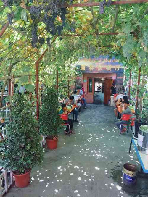 乌市安宁渠有平房院子出售吗？(新疆农家乐住宿收费标准)