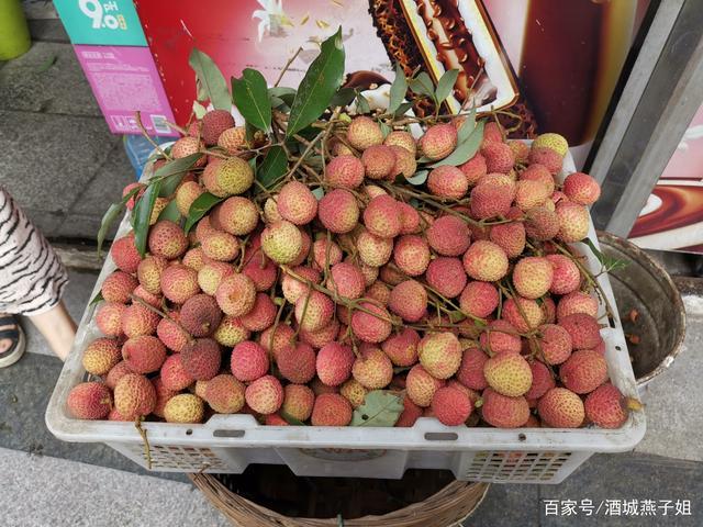 妃子笑是哪里的?(从顺德到四川泸州经过哪些收费站)-图3 妃子笑是哪里的?(从顺德到四川泸州经过哪些收费站)-图3