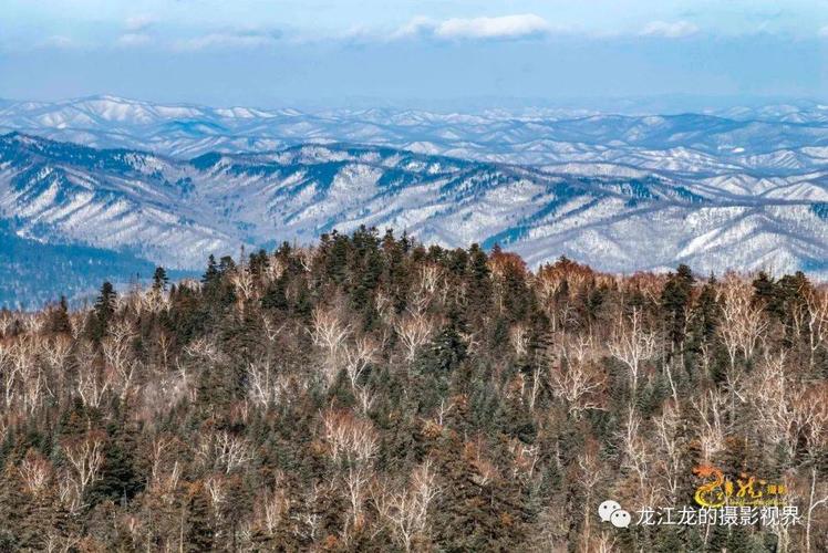 鹤岗平均海拔高度?(鹤岗金顶山收费吗)-图3 鹤岗平均海拔高度?(鹤岗金顶山收费吗)-图3