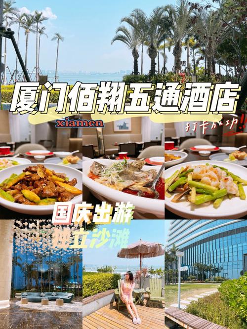 阿波吃客哪年出生的?厦门私人导游收费-图2 阿波吃客哪年出生的?厦门私人导游收费-图2