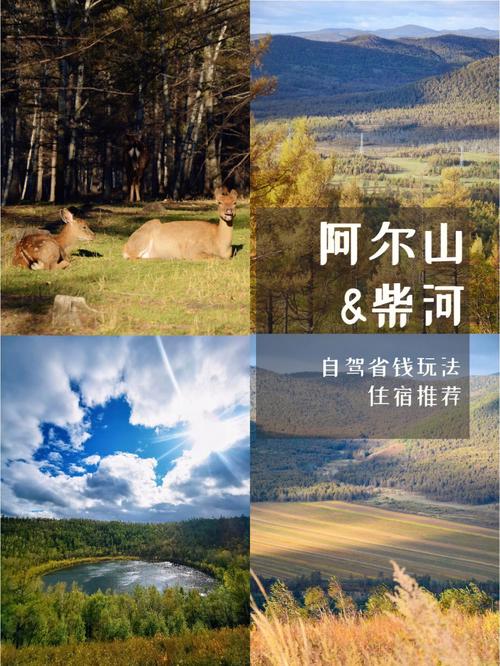 自驾去阿尔山怎样游玩?阿尔山自驾过景区收费-图2 自驾去阿尔山怎样游玩?阿尔山自驾过景区收费-图2