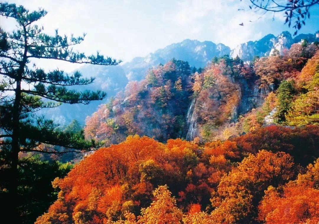 嵩县有哪些旅游景点？嵩县收费旅游景点