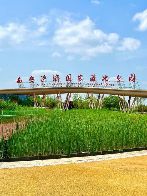 车游湿地公园免费吗?西安湿地公园是否有收费吗-图2 车游湿地公园免费吗?西安湿地公园是否有收费吗-图2