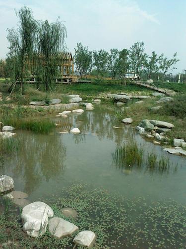 车游湿地公园免费吗？西安湿地公园是否有收费吗