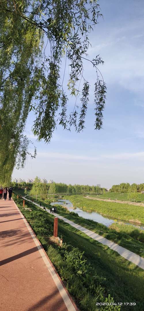 车游湿地公园免费吗?西安湿地公园是否有收费吗-图3 车游湿地公园免费吗?西安湿地公园是否有收费吗-图3