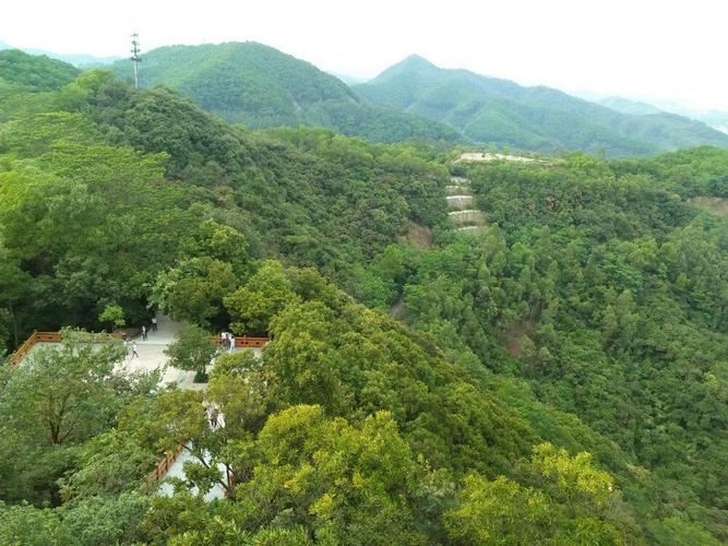 东莞塘厦大屏嶂森林公园几点关门?雷公山森林公园收费吗-图2 东莞塘厦大屏嶂森林公园几点关门?雷公山森林公园收费吗-图2