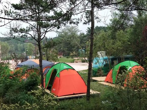 济南适合过夜露营的绝佳去处?济南 收费帐篷营地-图3 济南适合过夜露营的绝佳去处?济南 收费帐篷营地-图3