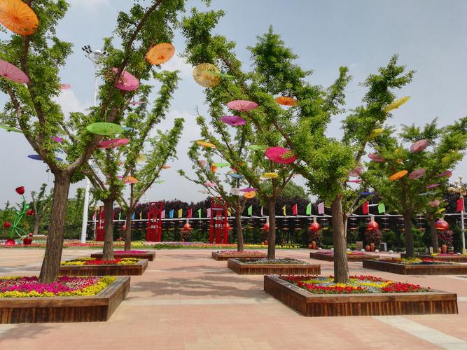 鄢陵花木市场怎么样?鄢陵国家花木博览园老人收费吗-图3 鄢陵花木市场怎么样?鄢陵国家花木博览园老人收费吗-图3