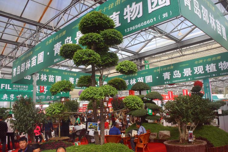 鄢陵花木市场怎么样？鄢陵国家花木博览园老人收费吗