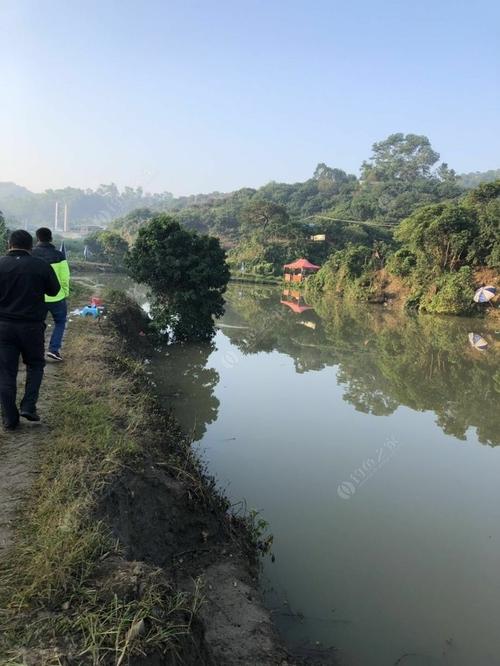 西丽水库可以钓鱼吗?西丽麒麟山庄钓鱼场收费-图2 西丽水库可以钓鱼吗?西丽麒麟山庄钓鱼场收费-图2