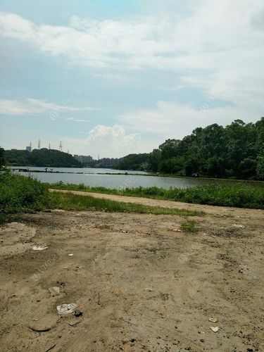 西丽水库可以钓鱼吗?西丽麒麟山庄钓鱼场收费-图3 西丽水库可以钓鱼吗?西丽麒麟山庄钓鱼场收费-图3