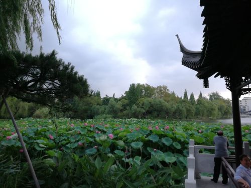 望丛祠荷花池要门票吗?扬州荷花池公园收费-图3 望丛祠荷花池要门票吗?扬州荷花池公园收费-图3