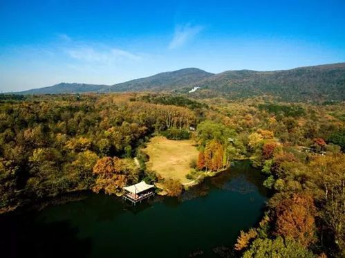 钟山风景区逛完要多久?钟山山顶公园收费-图2 钟山风景区逛完要多久?钟山山顶公园收费-图2