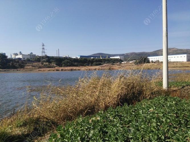 红塔区钓鱼的地方?玉溪钓鱼收费的鱼塘-图3 红塔区钓鱼的地方?玉溪钓鱼收费的鱼塘-图3