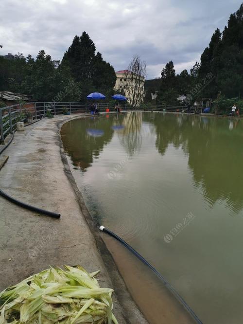 红塔区钓鱼的地方?玉溪钓鱼收费的鱼塘-图2 红塔区钓鱼的地方?玉溪钓鱼收费的鱼塘-图2