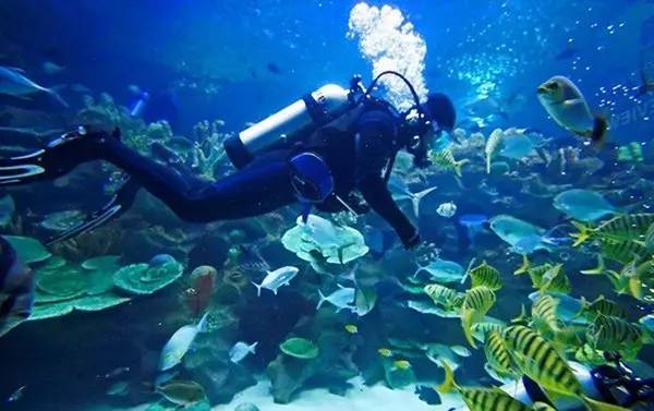青岛海水浴场要门票吗？青岛 潜水 收费
