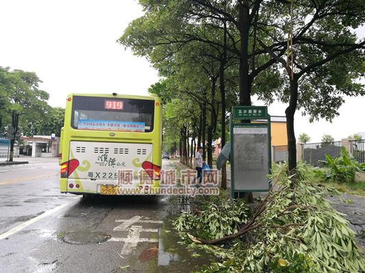 顺德轻轨站到五沙员工村坐公交车？顺德站到五沙收费站