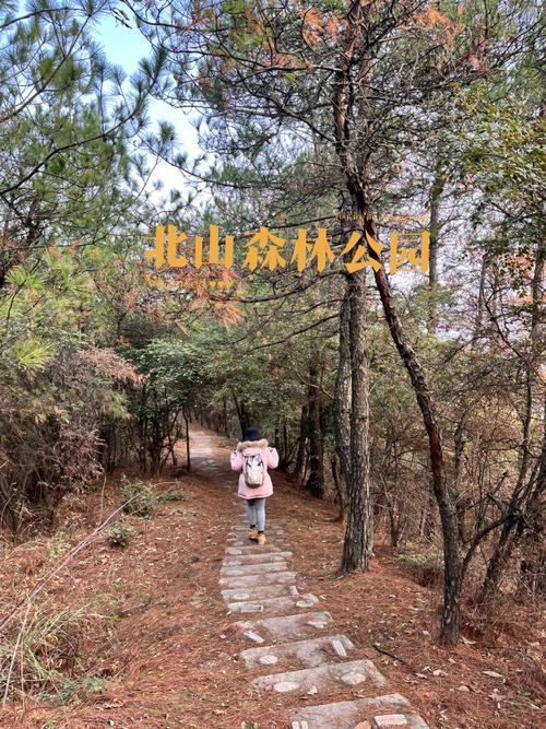 北山森林公园要门票吗?北山森林公园收费吗-图2 北山森林公园要门票吗?北山森林公园收费吗-图2
