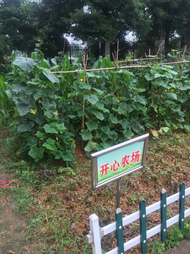 汕头龙湖区海边景点？来宾开心农场怎样收费