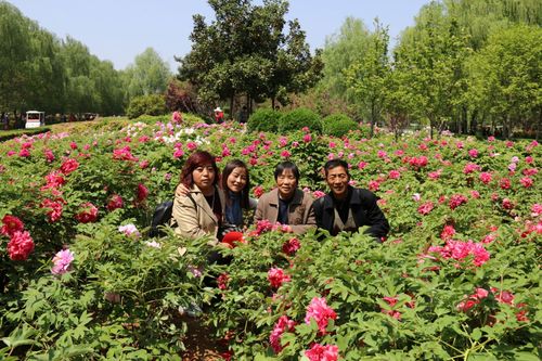 现在去洛阳隋唐植物园要门票吗?洛阳隋唐植物园几月收费-图3 现在去洛阳隋唐植物园要门票吗?洛阳隋唐植物园几月收费-图3