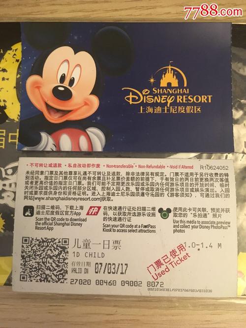 迪士尼买完票之后是都能玩吗？迪士尼买票后里面项目还要收费吗