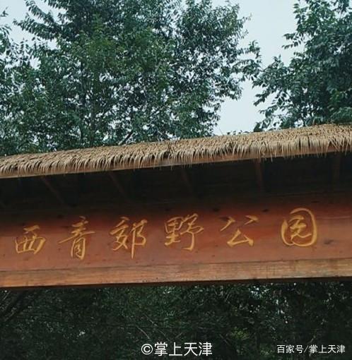 西青郊野公园有公交车到吗？天津605路收费