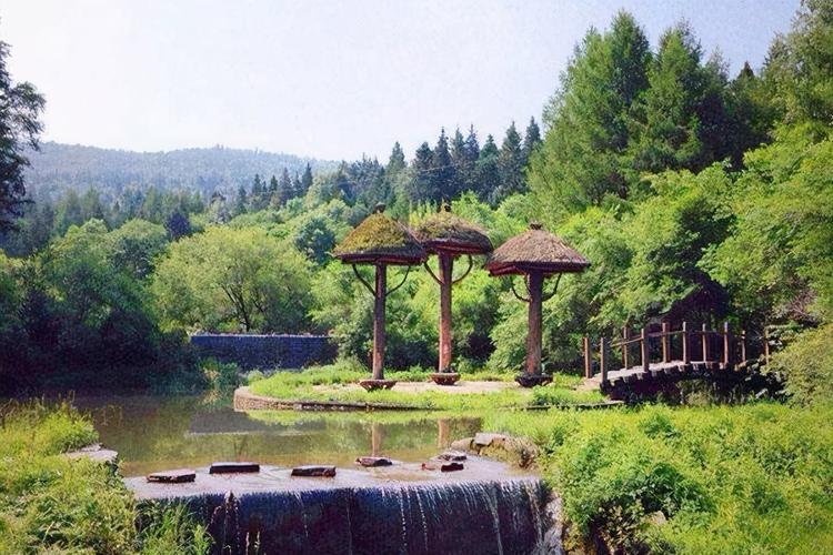 在伊春哪里避暑旅居最好又便宜?伊春水上公园收费吗-图2 在伊春哪里避暑旅居最好又便宜?伊春水上公园收费吗-图2