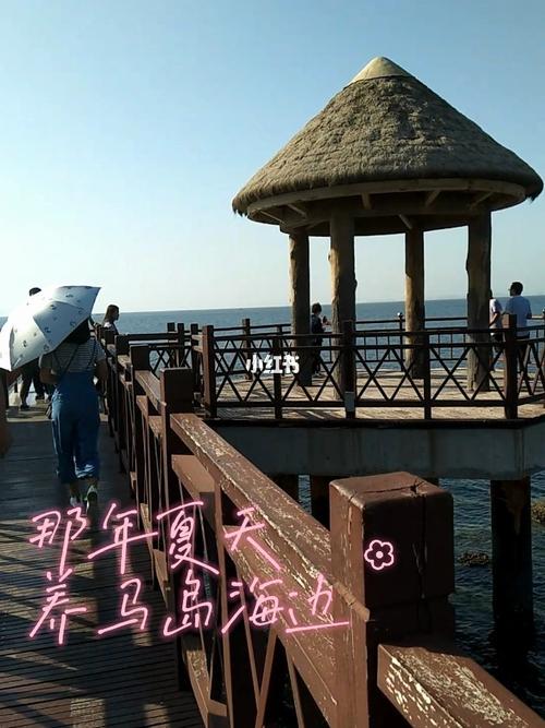 养马岛有停车的地方吗？养马岛停车场收费