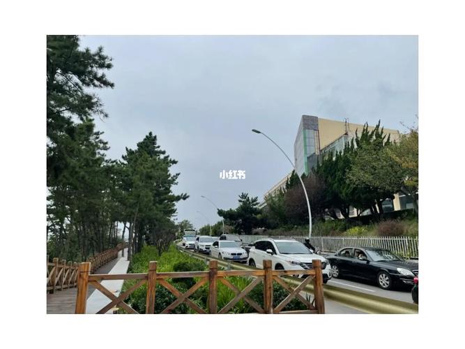 养马岛有停车的地方吗?养马岛停车场收费-图2 养马岛有停车的地方吗?养马岛停车场收费-图2