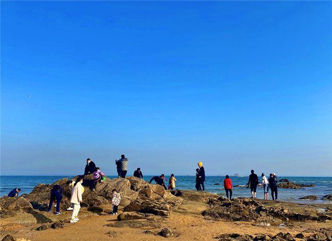 日照森林公园能赶海吗?日照海滨国家森林公园收费项目-图2 日照森林公园能赶海吗?日照海滨国家森林公园收费项目-图2