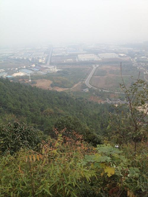 大阳山国家森林公园停车费?大阳山森林公园晚上进去收费吗-图2 大阳山国家森林公园停车费?大阳山森林公园晚上进去收费吗-图2