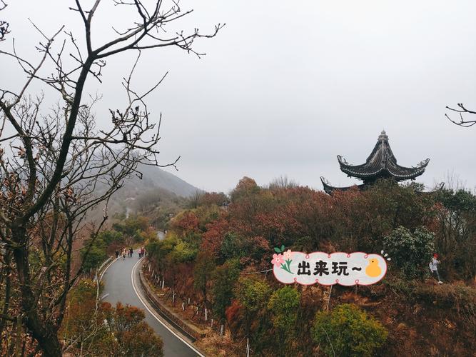 大阳山国家森林公园停车费?大阳山森林公园晚上进去收费吗-图3 大阳山国家森林公园停车费?大阳山森林公园晚上进去收费吗-图3