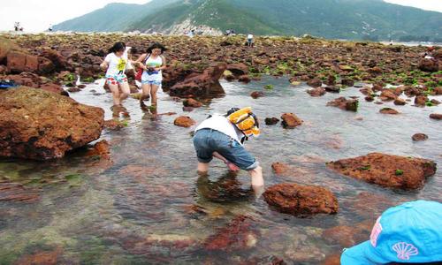 深圳西冲海滩的CS野战基地哪家好？南澳西涌仙人掌沙滩收费吗