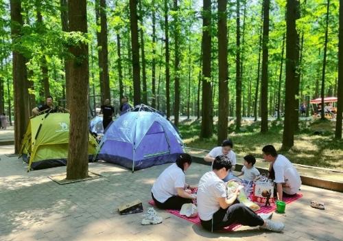 三江生态园公园介绍?日照森林公园露营收费-图3 三江生态园公园介绍?日照森林公园露营收费-图3