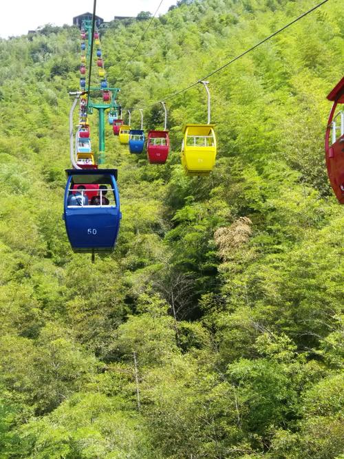 南山竹海缆车费用?森林公园的索道收费-图3 南山竹海缆车费用?森林公园的索道收费-图3