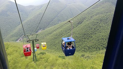 南山竹海缆车费用?森林公园的索道收费-图2 南山竹海缆车费用?森林公园的索道收费-图2