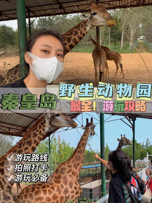 现在秦皇岛动物园门票多少钱？淡季门票截止到什么时候？秦皇岛动物园收费项目