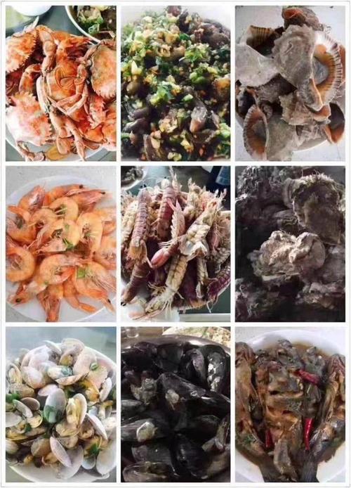 大连海王九岛怎么样？海王岛上海鲜怎么收费